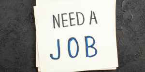 Understanding the Hiring Process for Beginners