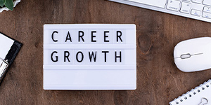 Career growth vs. salary – deciding between professional development and higher pay