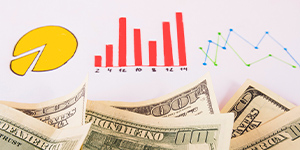 Diagrams shows average salary in India