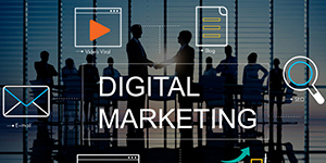 Digital marketing manager role and responsibilities overview